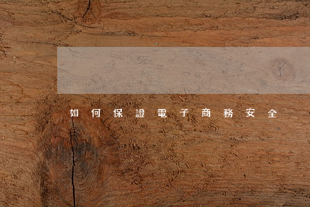 如何保證電子商務安全