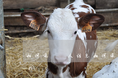 如何保護個人信息(如何保護個人信息英語手抄報)
