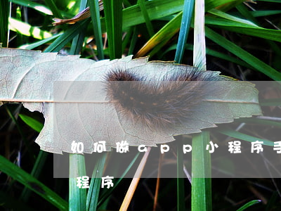 如何做app小程序(手機(jī)怎么做小程序)