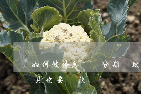如何做停息掛賬分期還款(什么叫停息掛賬每月也要還款嗎)