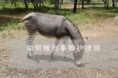 如何做刑事辩护律师