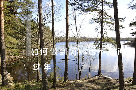 如何做到离婚后不想再回家(离婚后不想回家过年)