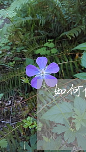 如何做好律師工作(律師的工作) 如何做好律師工作(律師的工作)