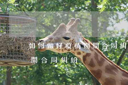 如何做好疫情期間合同糾紛(如何做好疫情期間合同糾紛)