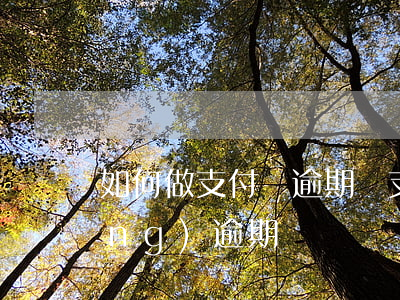 如何做支付寶逾期嗎(支付寶可以申請(qǐng)逾期嗎)