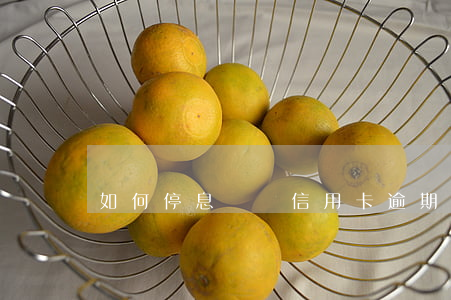 如何停息掛賬(信用卡逾期如何停息掛賬)