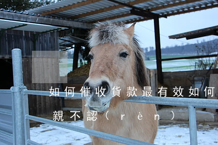 如何催收貨款最有效，如何催收貨款最有效六親不認(rèn)