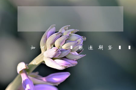 如何催收貸款逾期客戶(貸款逾期如何面對催收)