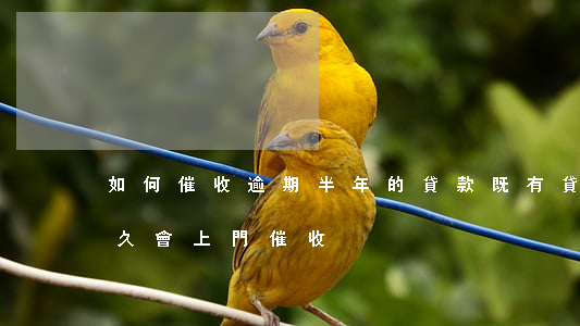 如何催收逾期半年的貸款(既有貸款逾期了多久會上門催收)