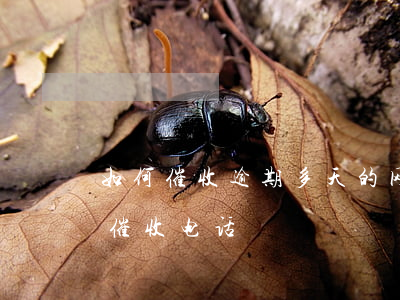 如何催收逾期多天的网贷(网贷逾期怎样应对催收电话)