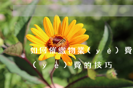 如何催繳物業(yè)費技巧，怎么催繳物業(yè)費的技巧