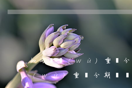 如何債務(wù)重組分期掛賬-如何債務(wù)重組分期掛賬呢