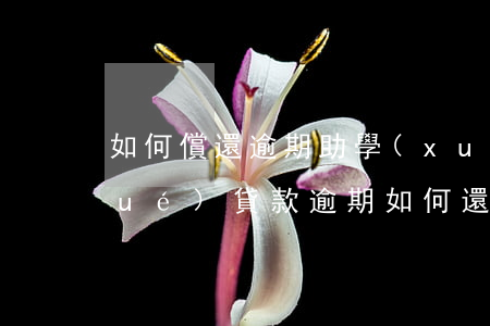 如何償還逾期助學(xué)貸款(助學(xué)貸款逾期如何還款)