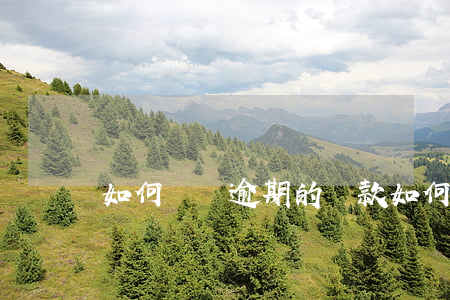 如何償還逾期的貸款（如何還逾期貸款）