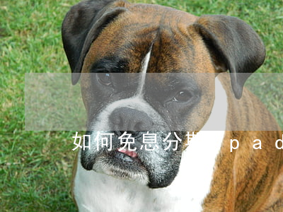 如何免息分期ipad 如何免息分期买苹果