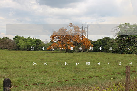 如何免花唄分期手續(xù)費(fèi) 怎么可以花唄分期免利息