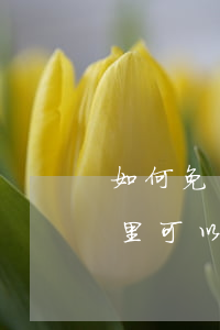 如何免費(fèi)請(qǐng)律師(哪里可以請(qǐng)到免費(fèi)的律師)