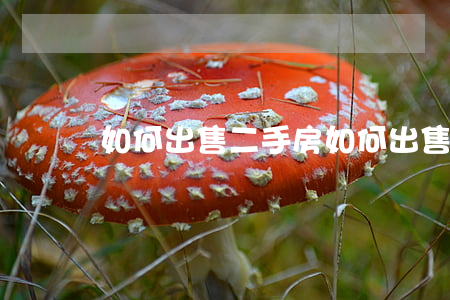 如何出售二手房(如何出售二手房)