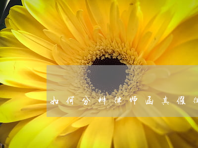 如何分辨律师函真假(律师函真假怎么辨认)