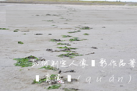 如何判定人像攝影作品著作權(quán)與肖像權(quán)的歸屬