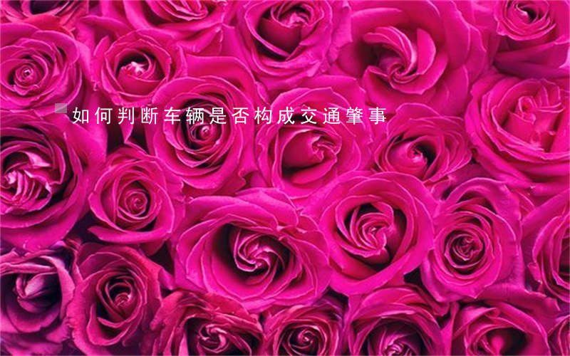 如何判断车辆是否构成交通肇事
