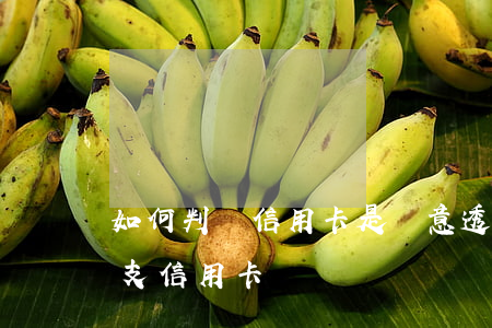 如何判斷信用卡是惡意透支(什么樣算惡意透支信用卡)