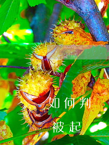 如何判斷欠錢起訴地位(欠錢怎么知道有沒有被起訴)