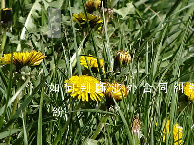 如何判斷涉外合同糾紛(如何判斷涉外合同糾紛)