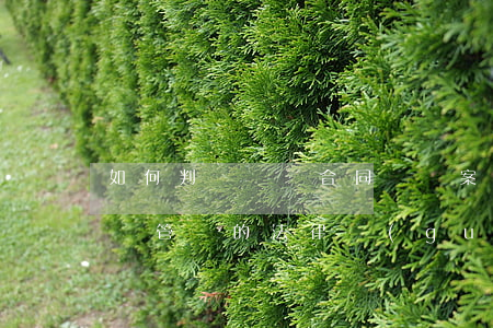 如何判斷運輸合同糾紛案件管轄(運輸合同糾紛管轄的法律規(guī)定)