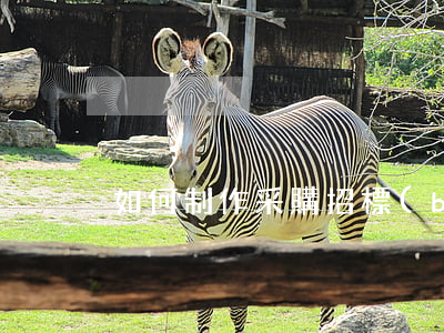如何制作采購招標(biāo)合同