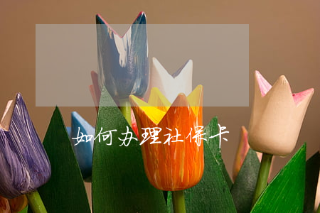 如何办理社保卡