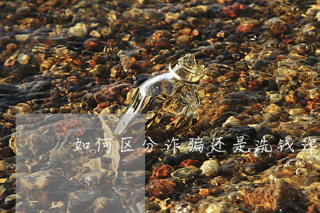 如何区分诈骗还是洗钱(诈骗属于反洗钱吗)