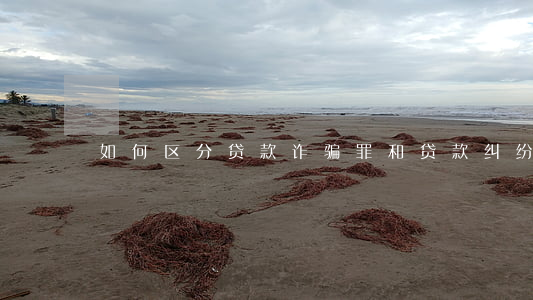 如何区分贷款诈骗罪和贷款纠纷