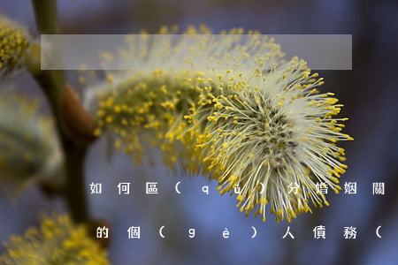 如何區(qū)分婚姻關(guān)系中的個(gè)人債務(wù)與共同債務(wù)