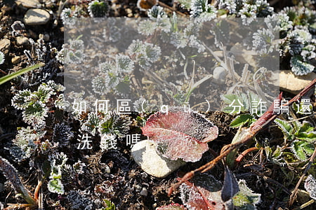如何區(qū)分詐騙還是洗錢(詐騙屬于反洗錢嗎)