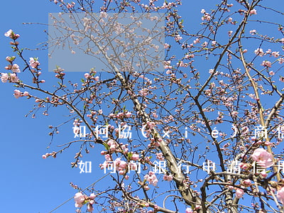 如何協(xié)商信用卡停息掛賬電話-如何向銀行申請信用卡停息掛賬