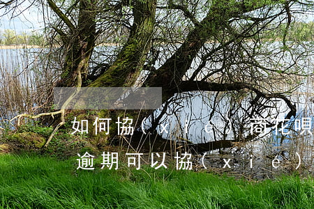 如何協(xié)商花唄逾期分期(花唄借唄逾期可以協(xié)商分多少期還款)