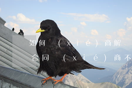 如何協(xié)商解決合同糾紛(不合理的合同協(xié)商不成怎么辦)