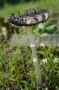 如何協(xié)商記錯(cuò)還款日期的逾期(還款日記錯(cuò)了,產(chǎn)生逾期怎么辦)