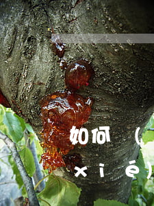 如何協(xié)商農村信用卡-如何協(xié)商農村信用卡還款