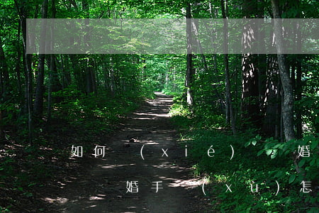 如何協(xié)議離婚最快，協(xié)議離婚手續(xù)怎么辦最快