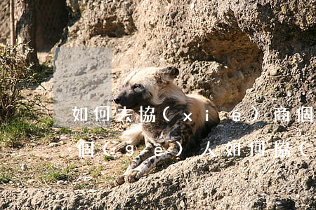 如何去協(xié)商個(gè)性化分期(個(gè)人如何協(xié)商個(gè)性化分期還款)