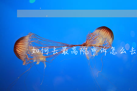 如何去最高院申诉，怎么去最高院申诉