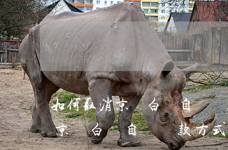 如何取消京東白條自動還款方式-如何取消京東白條自動還款方式設(shè)置