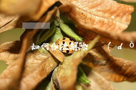 如何合法解除勞動(dòng)合同