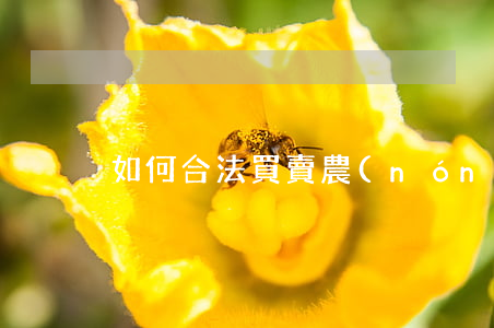 如何合法買賣農(nóng)村土地