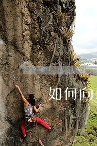 如何向京東客服申訴（京東逾期如何申訴）