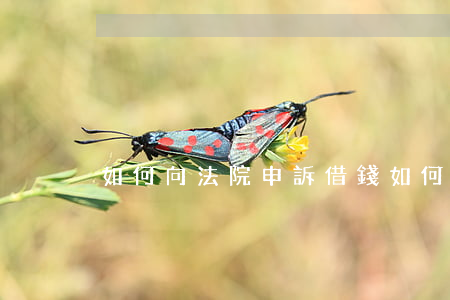 如何向法院申訴借錢(如何向法院申訴借錢)
