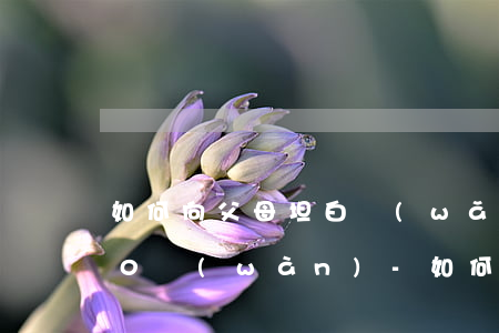 如何向父母坦白網(wǎng)貸欠了100萬(wàn)-如何向父母坦白網(wǎng)貸欠了100萬(wàn)元