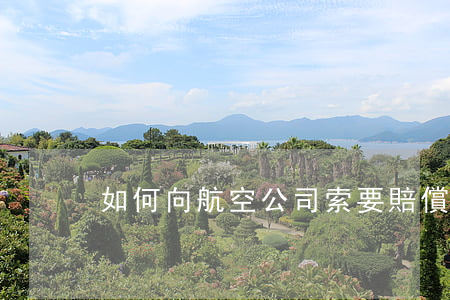 如何向航空公司索要賠償